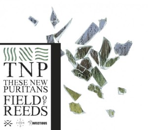 These-New-Puritans-single-cover-Field-Of-Reeds